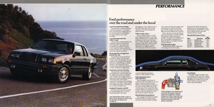 1986 Ford Thunderbird-16-17.jpg